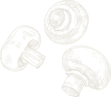 Parallex Background